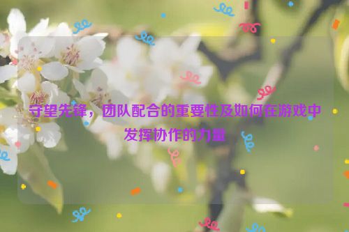 守望先锋，团队配合的重要性及如何在游戏中发挥协作的力量