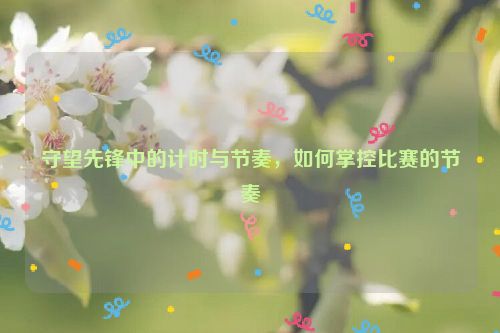 守望先锋中的计时与节奏，如何掌控比赛的节奏