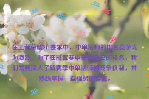 在王者荣耀S11赛季中，中单法师的排名竞争尤为激烈。为了在排位赛中提高自己的排名，我们需要深入了解赛季中单法师的竞争机制，并熟练掌握一些强势的英雄。